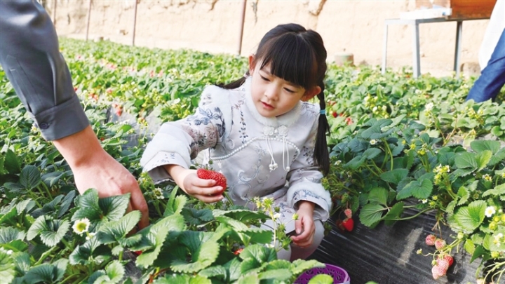 1770023213505130.jpg 63c54a5b-528f-46aa-9c75-24e730794bd7 (1).jpg