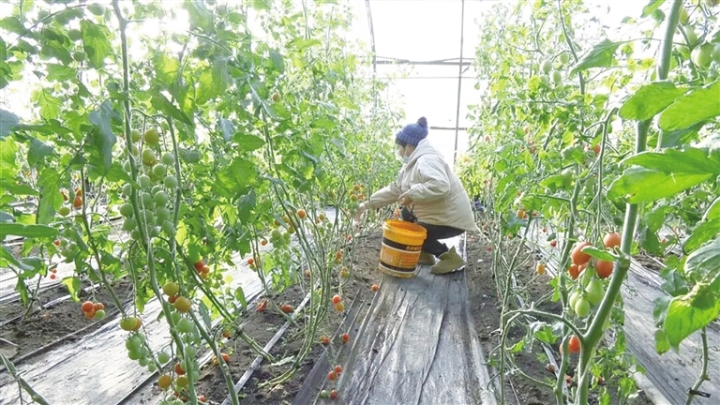 1772436557654835.jpg 1c077d16-1b1b-4b33-9019-200e29ac5d2b.jpg